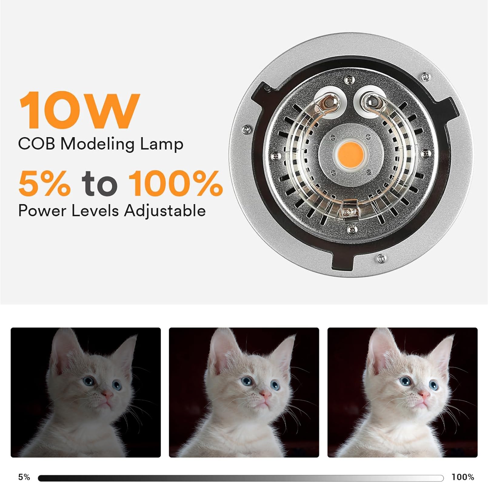 แฟลชสตูดิโอ Godox MS200V 200W  - Photography Lighting For Portraits บทวิจารณ์และราคา